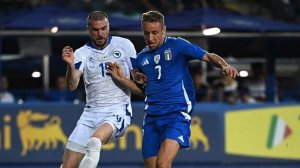 Босния и Герцеговина - Италия. Обзор матча.