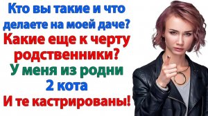 Истории из жизни|Ты превратил мой дом в проходной двор|Аудиорассказы|Аудиокниги|Реальные истории