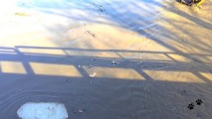 Мини ледоход  - река Сакмара  март 2026