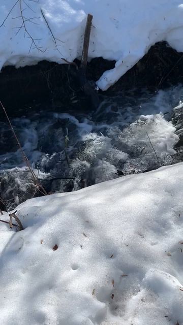 Водопад 2026 весна