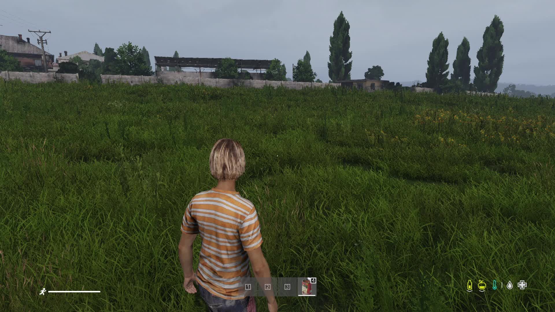 просто побегаем Dayz Livonia