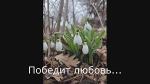 Победит любовь... (Братская помощь - Март 2026)