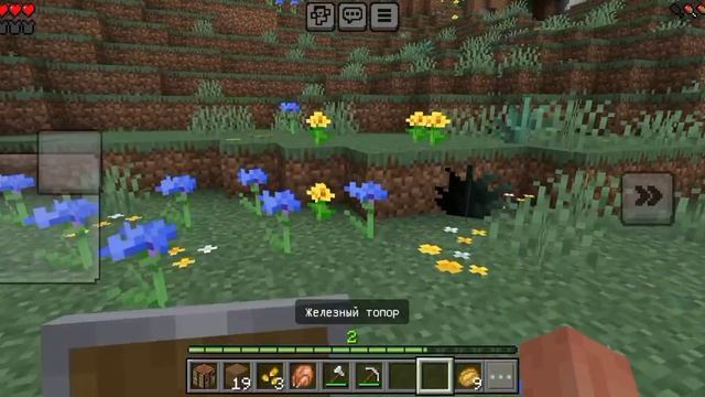 здравствуйте!