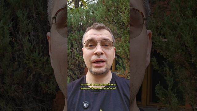 #Обзормате лимонад на основе мате из Ярославля от Полного Калабаса