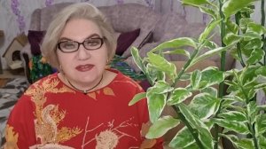 2 часть. Наглые ДОСКИНЦЫ❗️Не подарили с@пле машину❗️