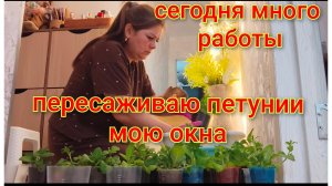 Много работы/Дачный сезон/Пересаживаю петунии/Привела в порядок комнатные цветы/Музыка для души