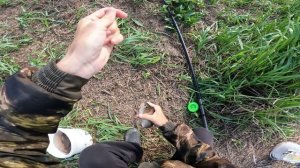 РЫБАЛКА НА ПОПЛАВОЧНУЮ УДОЧКУ КАРАСЬ