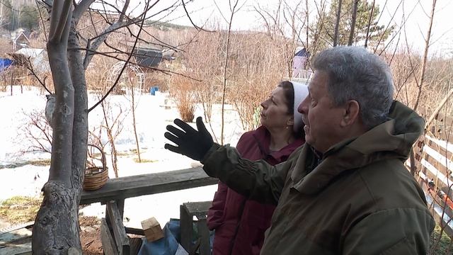 Порядки на грядке. Обрезка ранетки