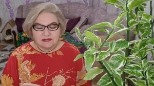 1 часть. Не ври людям❗️Обвиняя других, посмотри на себя❗️