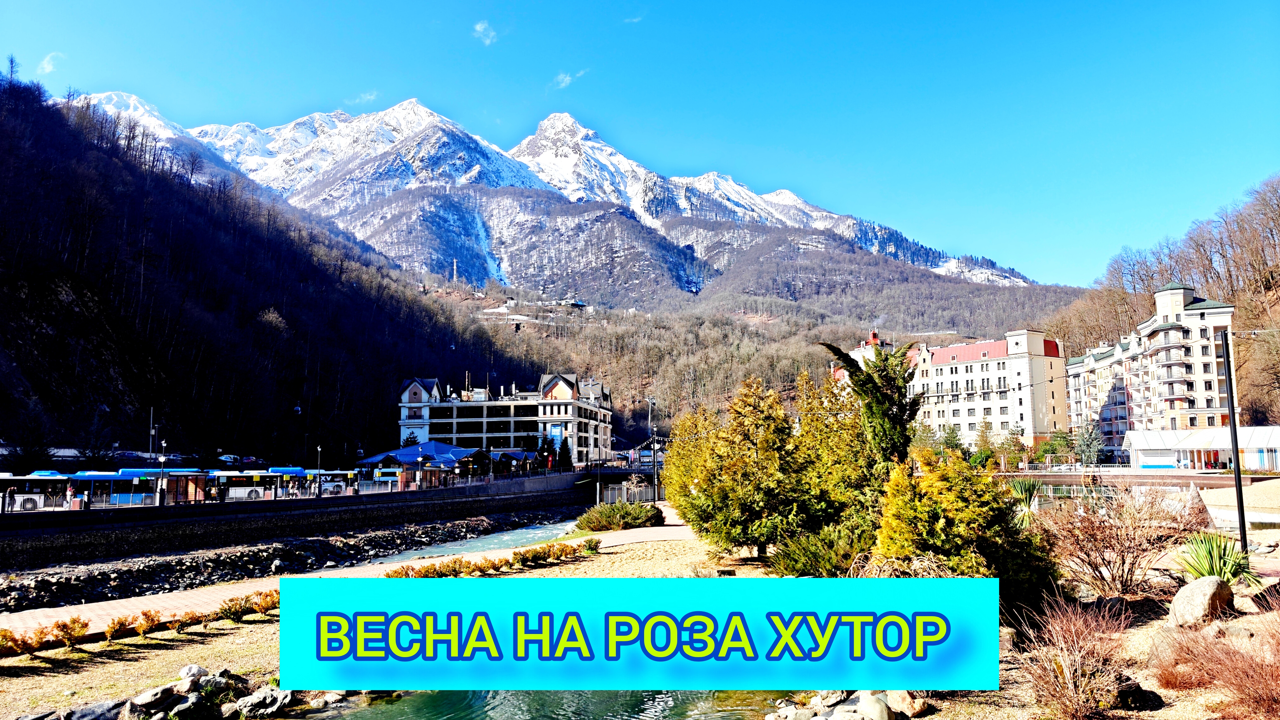 РОЗА ХУТОР 🌹ЛЯГУШАЧЬЕ ЦАРСТВО 🐸