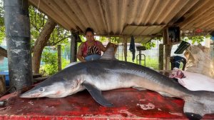 Разделка большой бычьей акулы на рыбном рынке