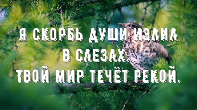 О благодать - минус мой 2
