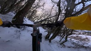 трейл Паваротти (Лучистое/Алушта) / 30.12.25