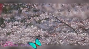 Твои слова.