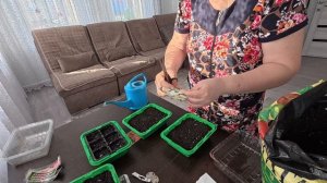 Почему Они все такие вредные?