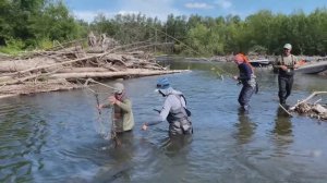 Ловля нахлыстом на Камчатке!!!много интересной рыбы!