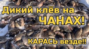 Рыбалка на озере Чаны. Карась везде!!! Дикий клёв!