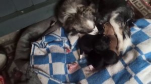 26 декабря 2023г.Мой дом.Установили новые окна..mp4