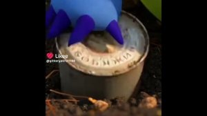 Бобожир часть 3