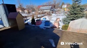 Влог/252/ На даче/ Снег сходит быстро/ Что могли, убрали....