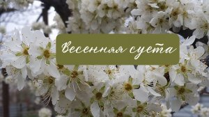 Весеннее пение птицы, работа шмеля, красивые растения в южном саду