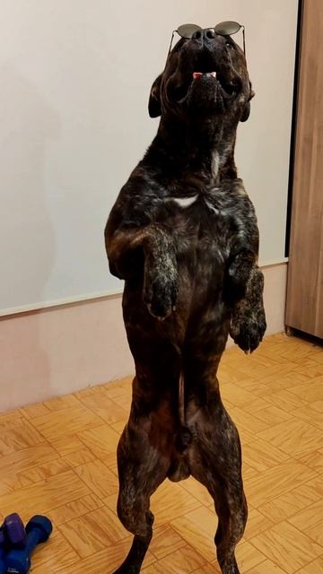 Тренд от Хемингуэя