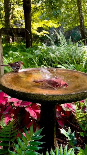 Мир прекрасного. #жизнь #услада