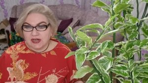 5 часть. Канал тухнет❗️Телегу прикроют❗️С РОДСТВЕННИКАМИ и друзьями не повезло❗️