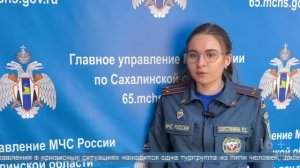 Сводка ГУ МЧС России по Сахалинской области за 23 – 29 марта