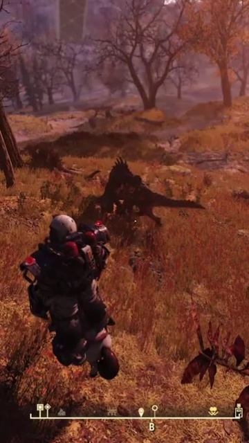 КОГОТЬ СМЕРТИ НАШЕЛ ПОДРУГУ