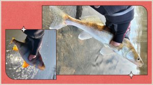 Закрыл сезон низкой воды на МР 25-26