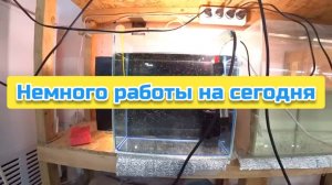 Немного работы на сегодня