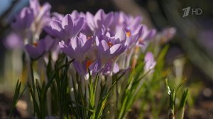 Температура в апреле в столице ожидается на несколько градусов выше нормы.