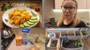 Моя повседневная жизнь.