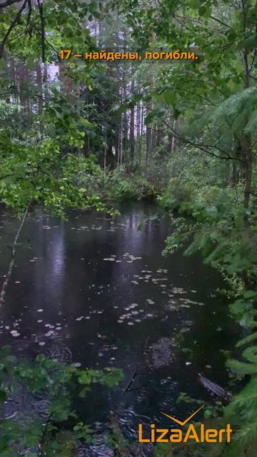 ЛизаАлерт Питер июнь 2025