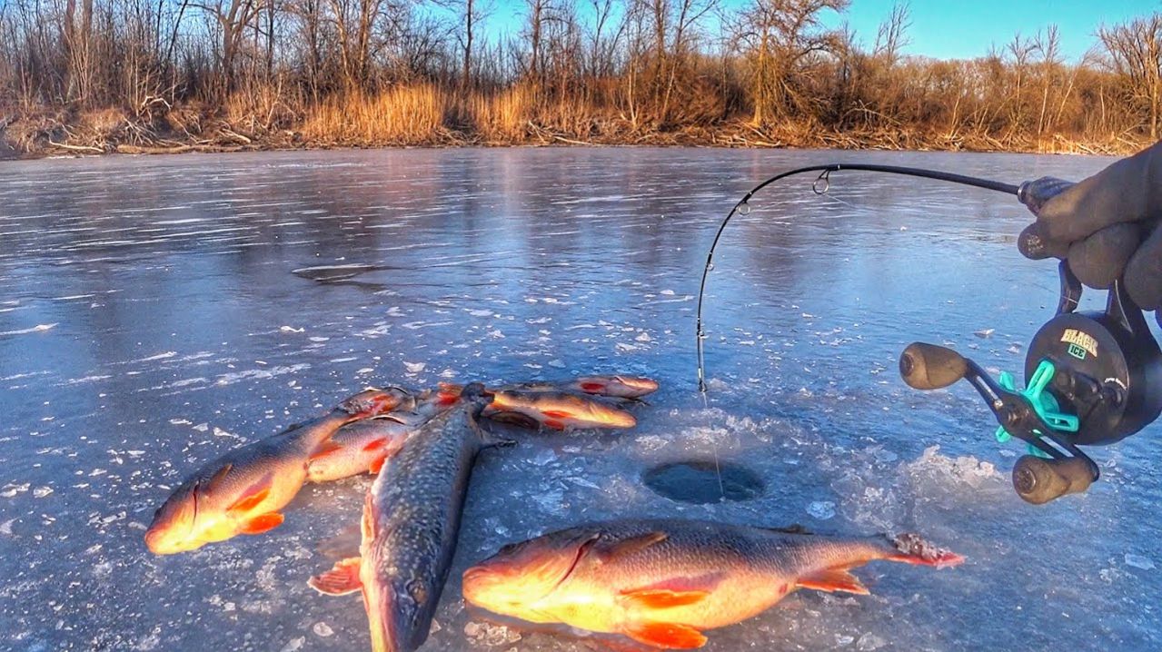 Шикарнейшая и Крутая Рыбалка на Окуня. Секретные Места для Ловли Рыбы. Восточная Сибирь Рыбалка 2026