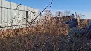 день микс,а в планах была обработка деревьев  31.03.26