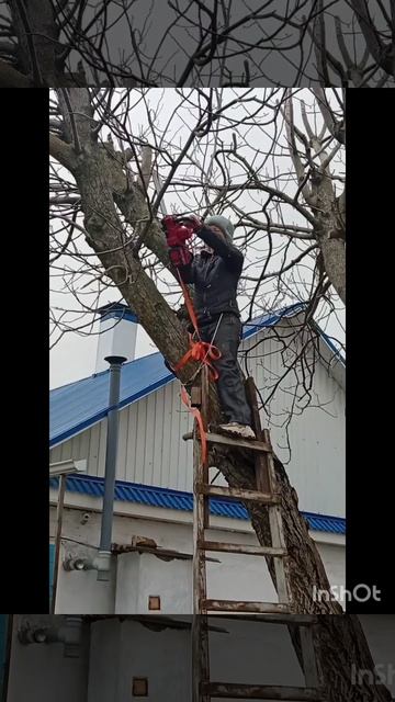 Открытие дачного сезона