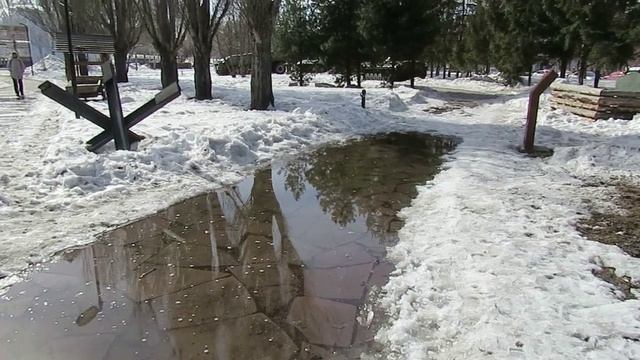 В парке Победы. Уточки на речушке.