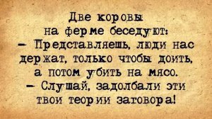 🍀_Подборка_коротких_самых_смешных_Анекдотов_для_настроения!