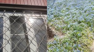 31 марта подарок от волшебника