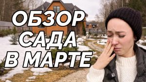 КАК ПОСТРАДАЛ САД ЭТОЙ ЗИМОЙ