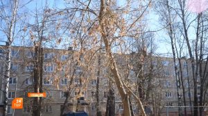 Проверили качество уборки