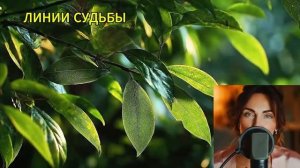 Бумажный якорь.