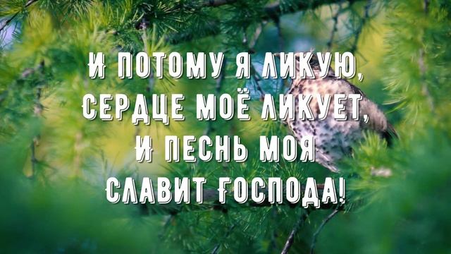Господь моя сила и щит - минус мой 2