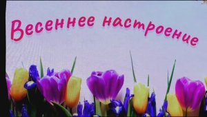 Концертная программа "Весеннее настроение" в городском Д.К.