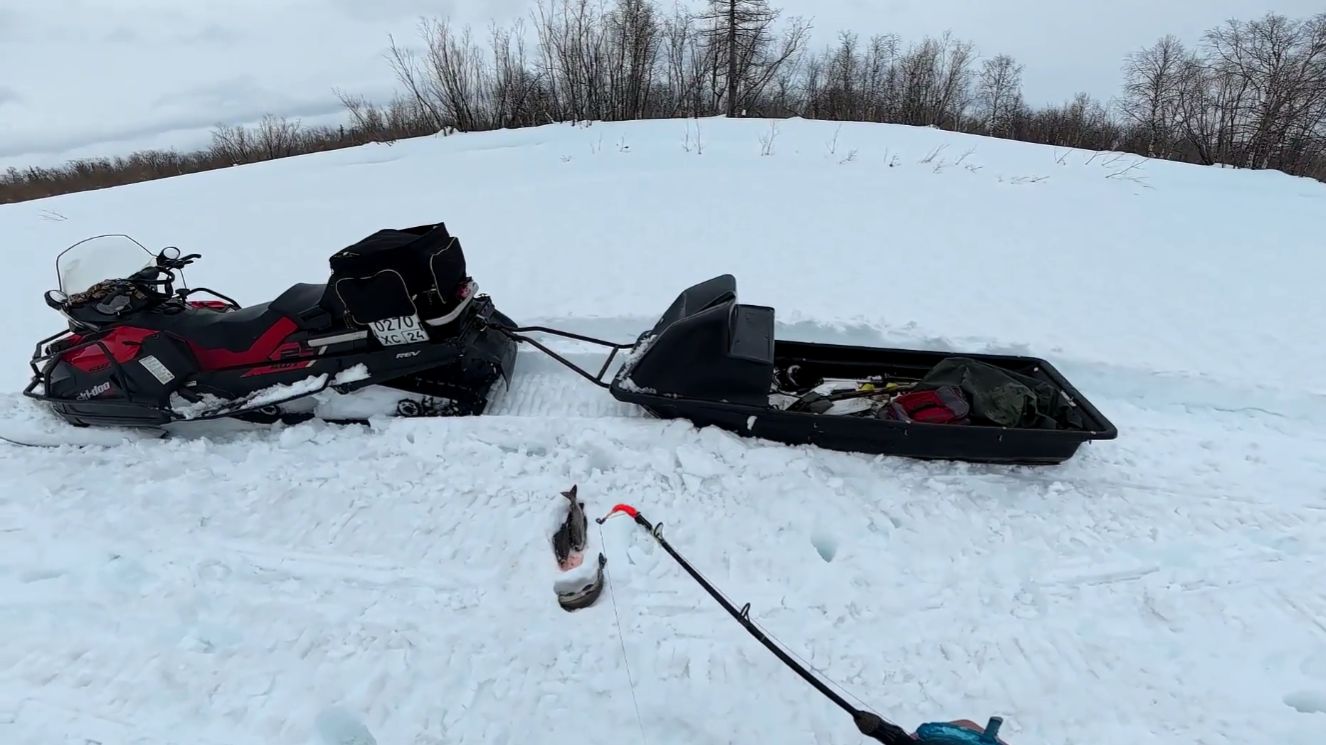 Это не Диалоги О Рыб..