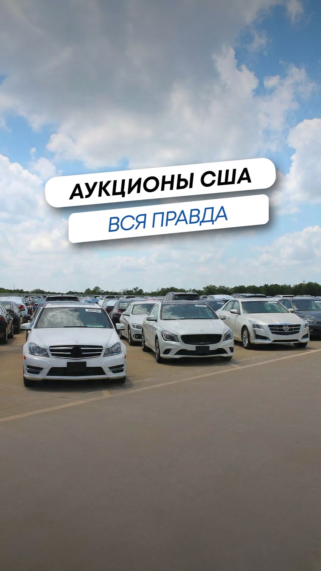 Аукционы США: 6 мифов, в которые пора перестать верить!