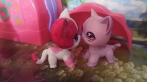 Littlest Pet Shop Old: Аквамарин Opening