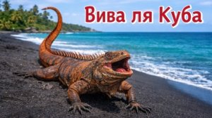 Да здравствует Куба